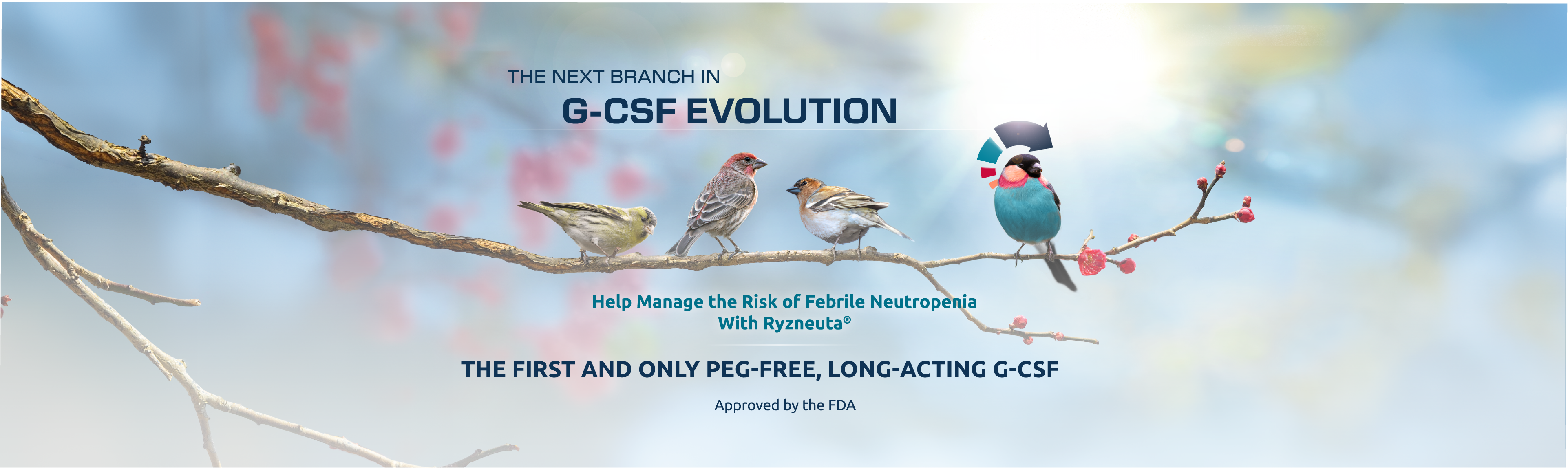 THE NEXT BRANCH IN G-CSF EVOLUTION

Help Manage the Rist of Febrile Neutropenia With Ryzneuta®

THE FIRST AND ONLY PEG-FREE, LONG-ACTING G-CSF